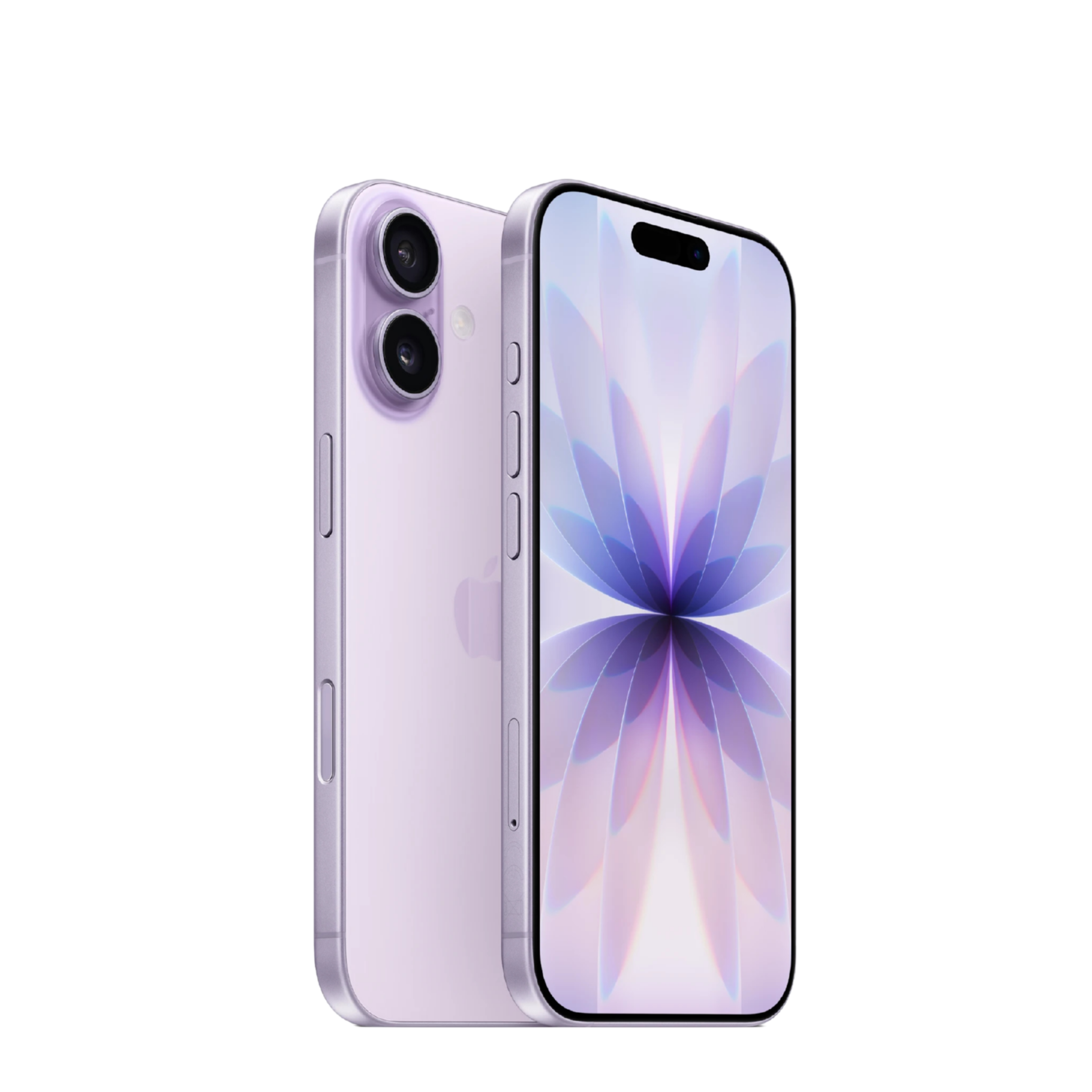 #color_lavender