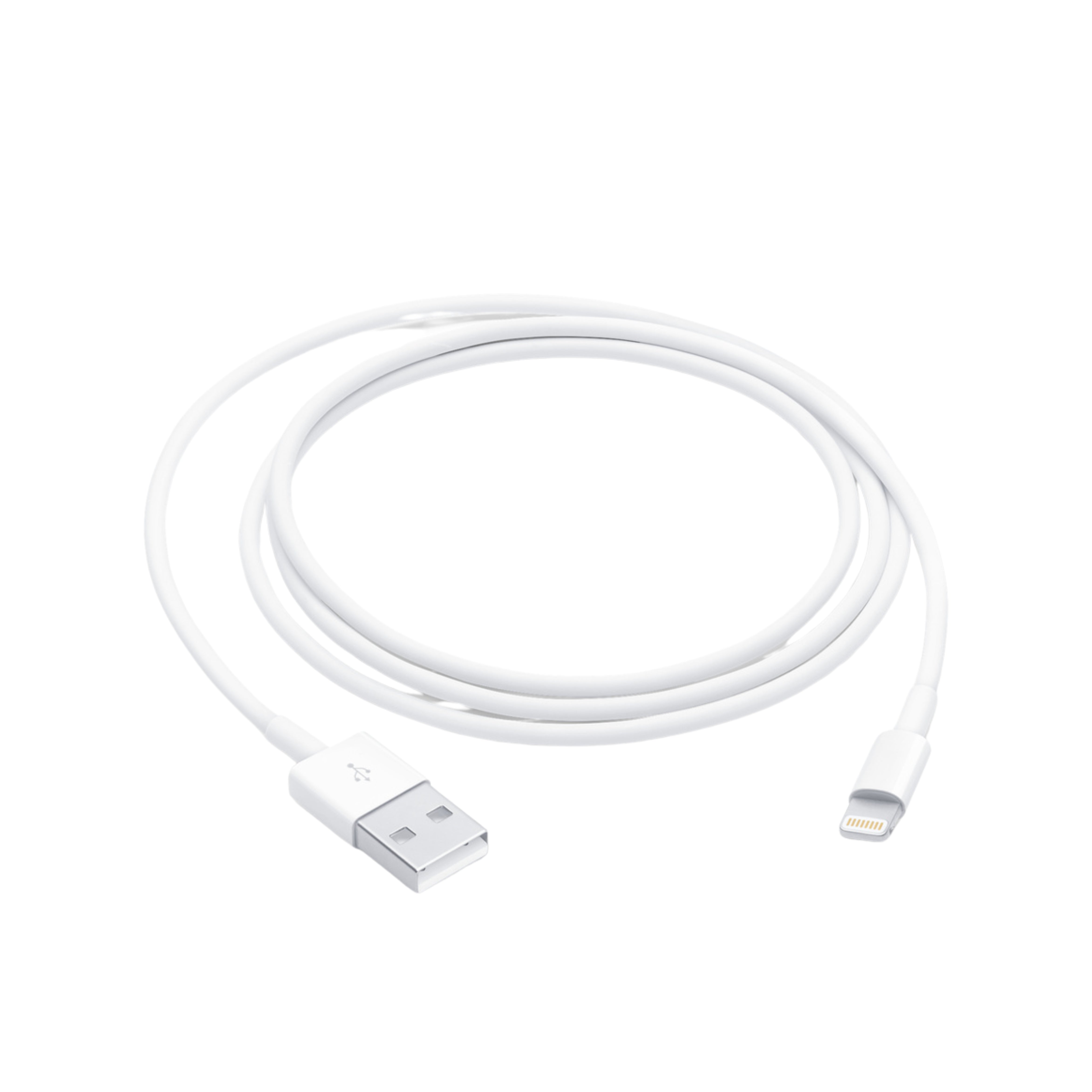 Lightning to USB Cable (1 m)