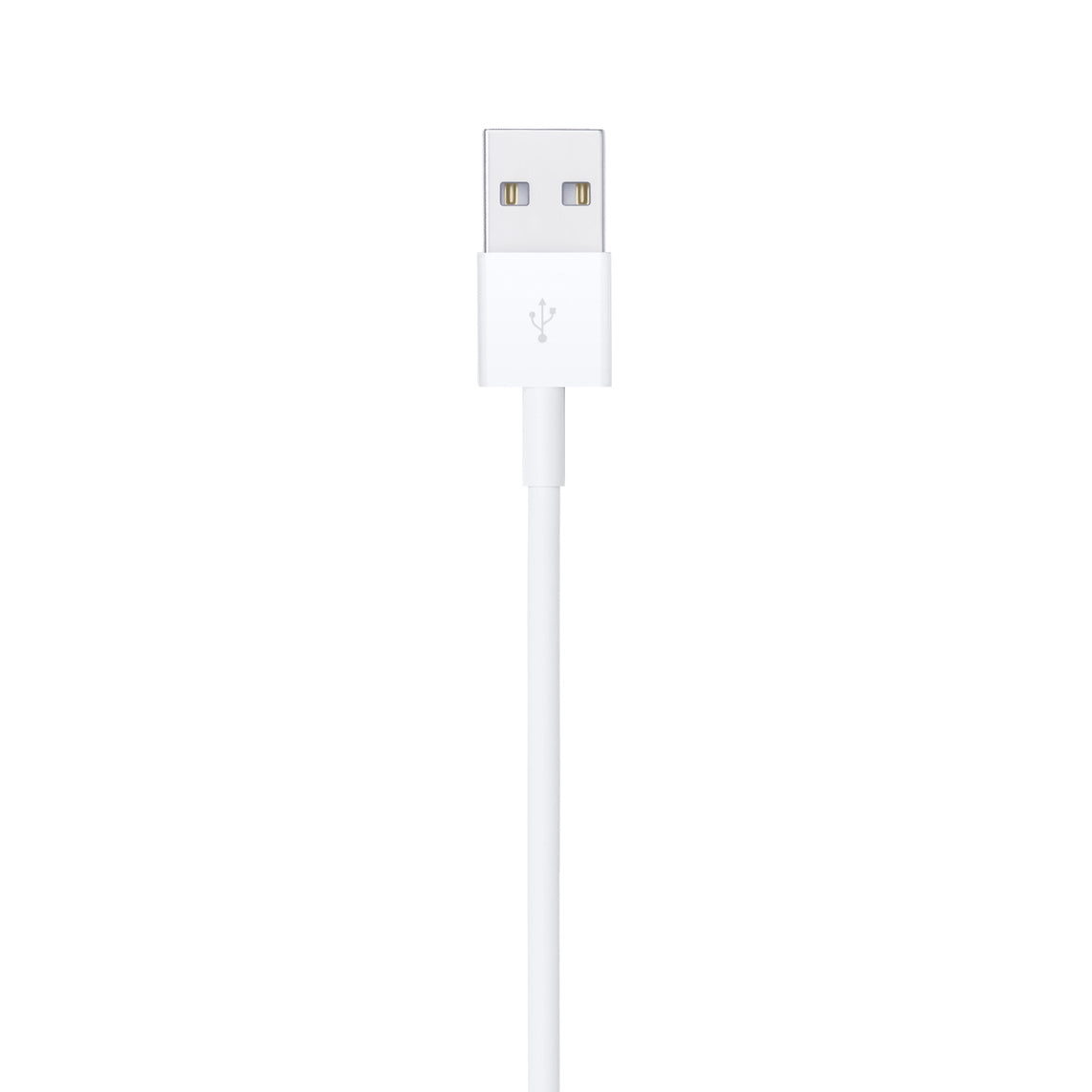 Lightning to USB Cable (1 m)